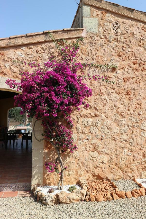 Casa Calendula Villa Llucmajor  Ngoại thất bức ảnh